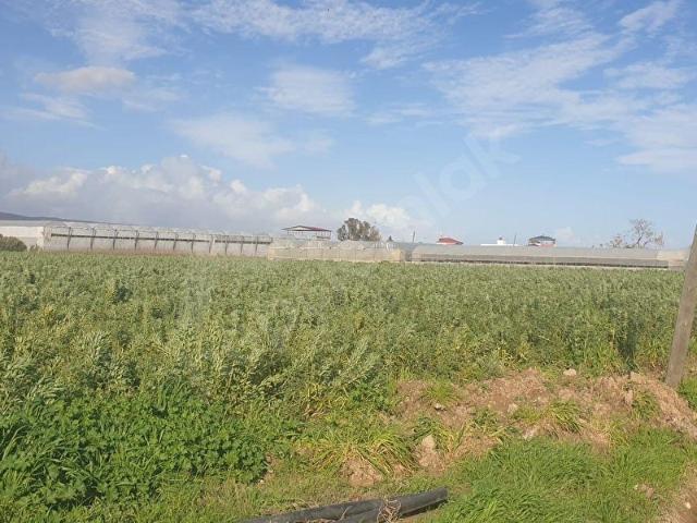 Silifke, Mersin içerisinde satılık mülk