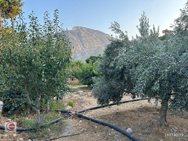Silifke, Mersin içerisinde satılık mülk
