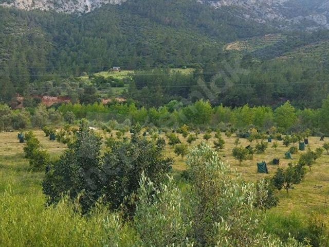 Silifke, Mersin içerisinde satılık mülk