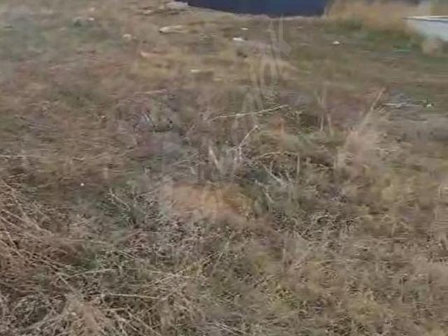 Silivri, İstanbul içerisinde satılık Arsa