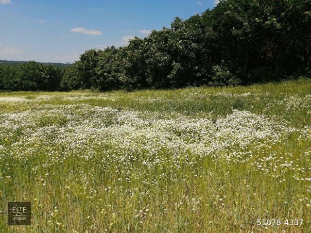 İstanbul Merkez, İstanbul içerisinde satılık Arsa