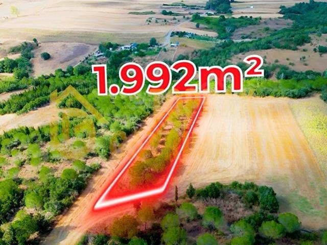 Silivri, İstanbul içerisinde satılık Arsa