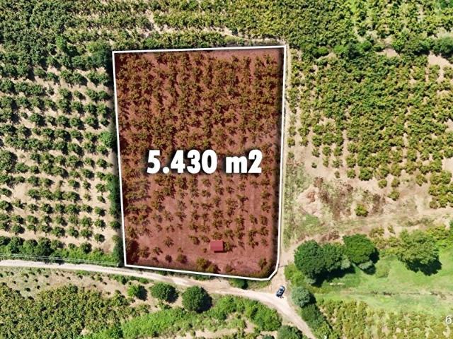 Hendek, Sakarya içerisinde satılık Arsa