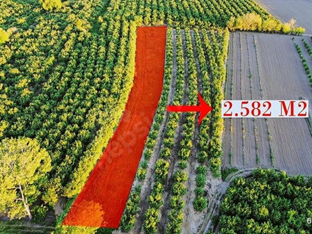 Hendek, Sakarya içerisinde satılık Arsa