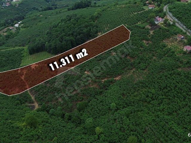 Hendek, Sakarya içerisinde satılık Arsa