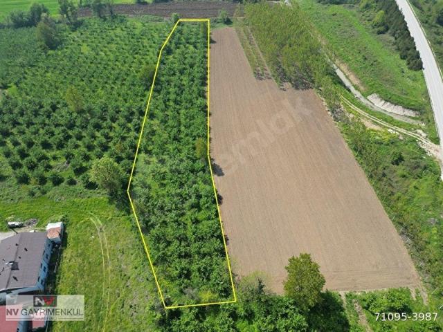 Düzce Merkez, Düzce içerisinde satılık Arsa