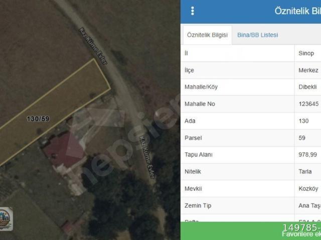 Kazköy, Sinop Merkez içerisinde satılık Arsa