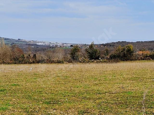 Sinop Merkez, Sinop içerisinde satılık Arsa
