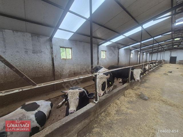 Pursaklar, Ankara içerisinde satılık Fabrika