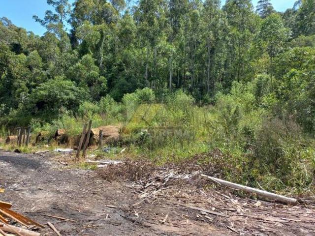 Sitio venda em Camanducaia, Monte Verde