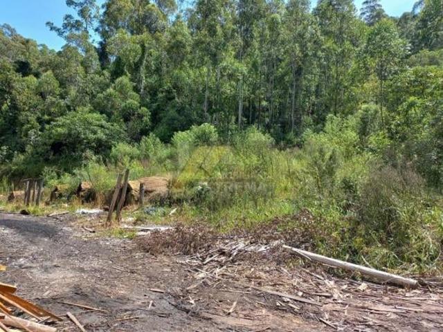 Sítio e chácara venda em Região Geográfica Imediata de Pouso Alegre, Camanducaia