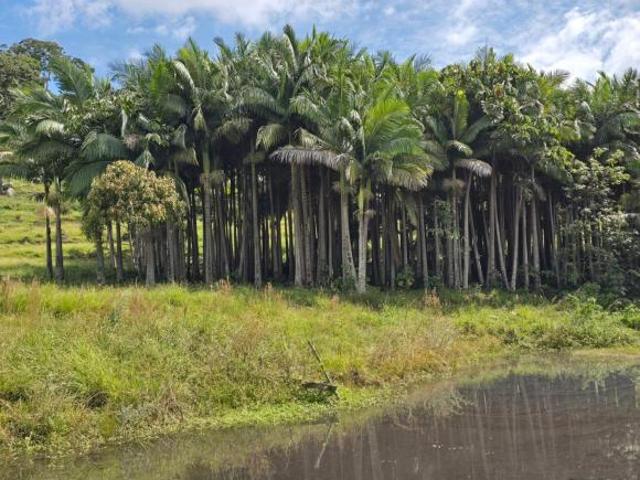 Sítio e chácara venda em Pocinhos do Rio Verde, Caldas