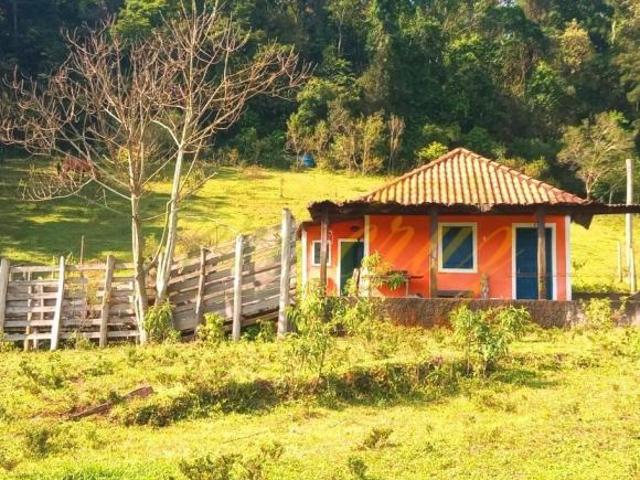 Sítio e chácara venda em Munhoz, Minas Gerais