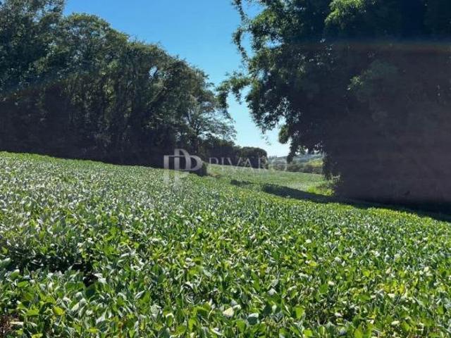 Sítio e chácara venda em Centro, Uraí