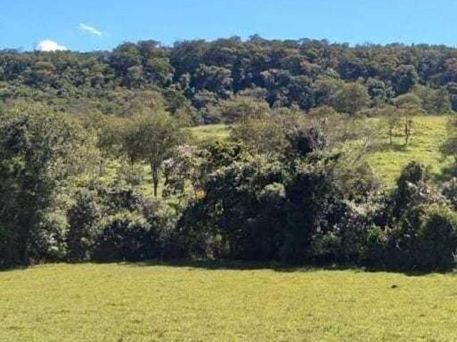 Sítio e chácara venda em Região Geográfica Imediata de Uberlândia, Indianópolis