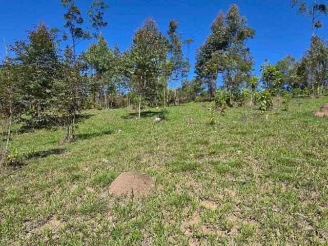Sítio e chácara venda em Caldas, Região Geográfica Intermediária de Pouso Alegre