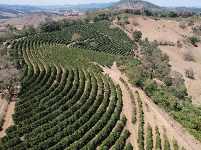 Sítio e chácara venda em Região Geográfica Imediata de Poços de Caldas, Bandeira do Sul