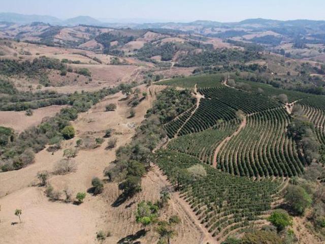 Sítio e chácara venda em Região Geográfica Imediata de Poços de Caldas, Bandeira do Sul