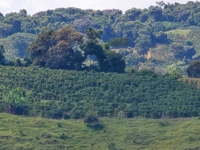 Sítio e chácara venda em Caldas, Região Geográfica Intermediária de Pouso Alegre