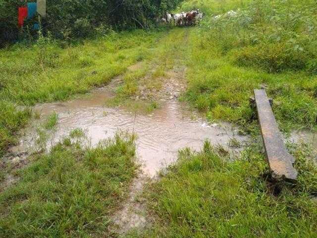 Sitio venda em Quadra, Jardim Tonico Vieira