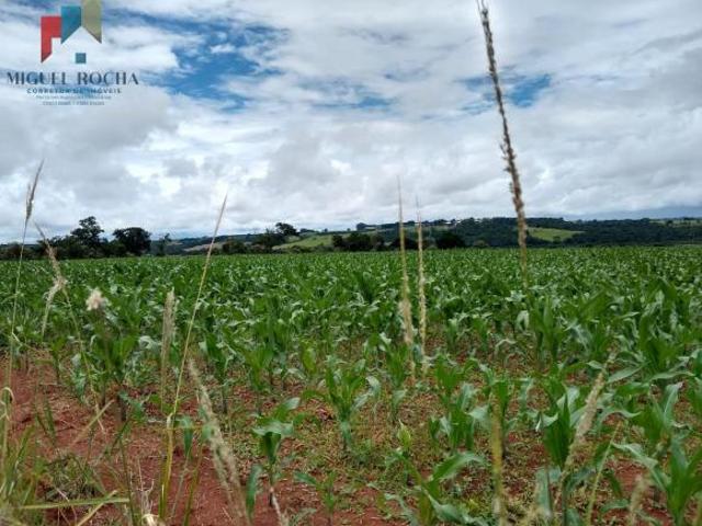 Sítio e chácara venda em Tatuí