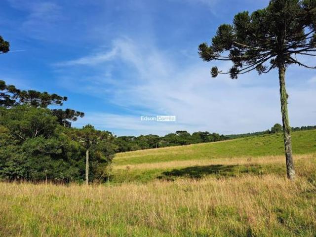 Sítio e chácara venda em Região Geográfica Imediata de Caxias do Sul, São Francisco de Paula