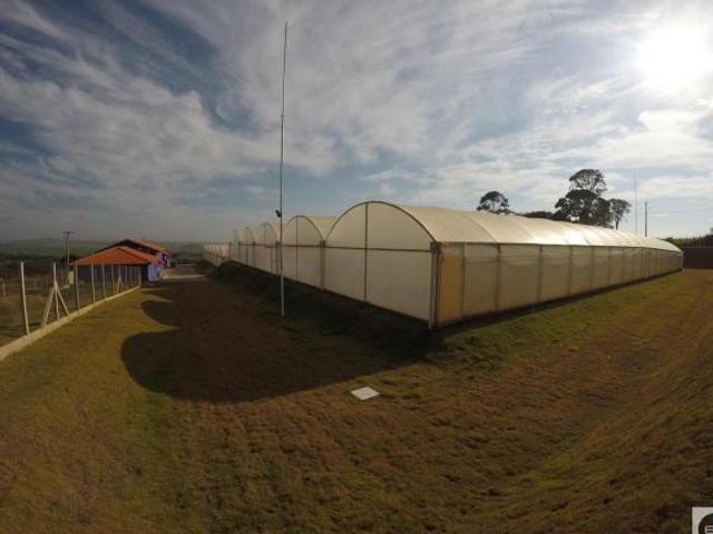 Sítio e chácara venda em Região Imediata de Ribeirão Preto, Região Metropolitana de Ribeirão Preto