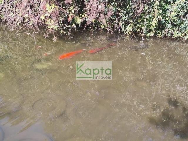 Sítio e chácara venda em Juquitiba