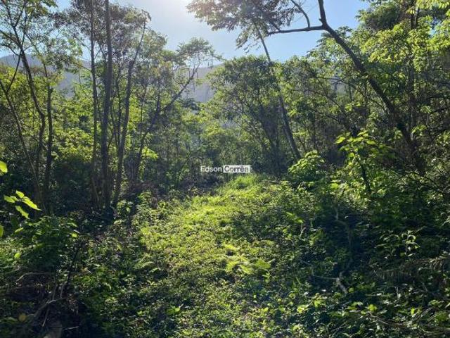 Sítio e chácara venda em Região Geográfica Imediata de Taquara - Parobé - Igrejinha, Região Metropolitana de Porto Alegre