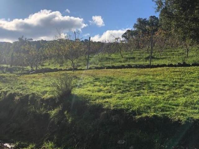 Sítio e chácara venda em Região Geográfica Imediata de Caxias do Sul, Caxias do Sul