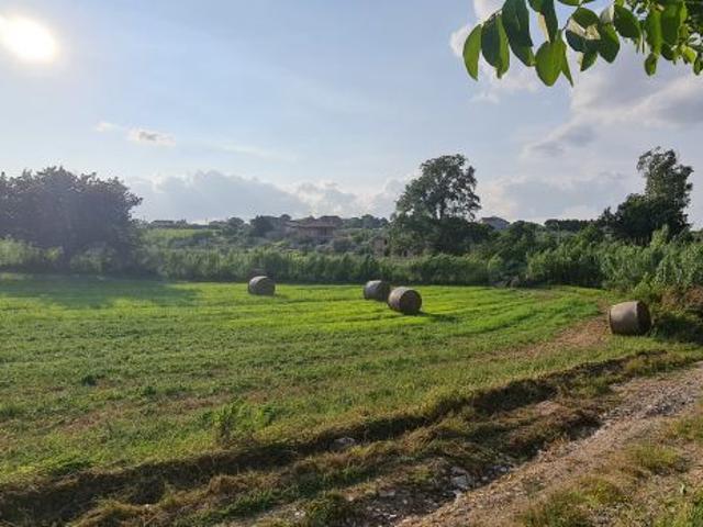 Terreno in vendita a Venosa, Basilicata