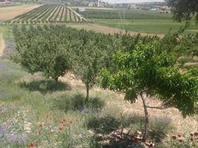 Lale, Karaman Merkez içerisinde satılık mülk