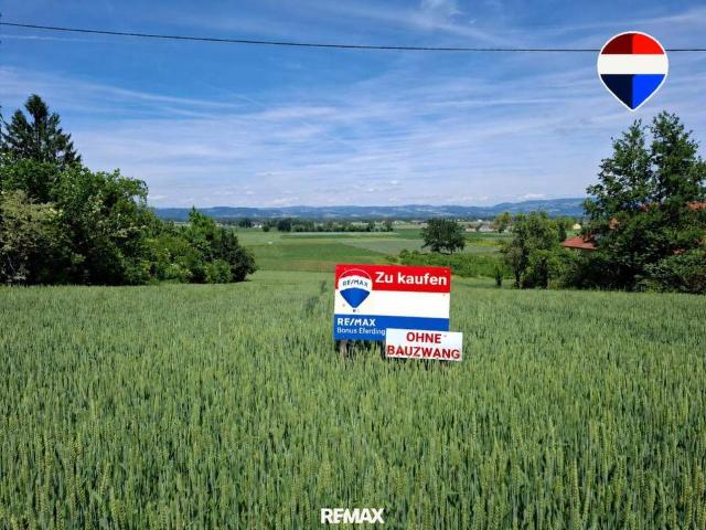 Grundstück kaufen in Eferding, Oberösterreich