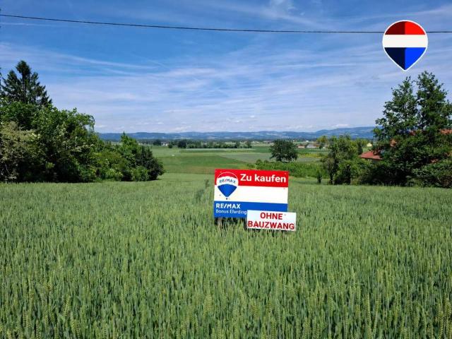Grundstück kaufen in Eferding, Oberösterreich