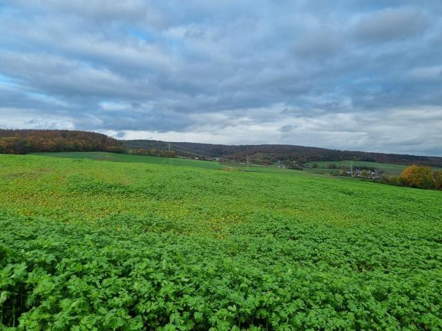 Landwirtschaft kaufen in Hessen