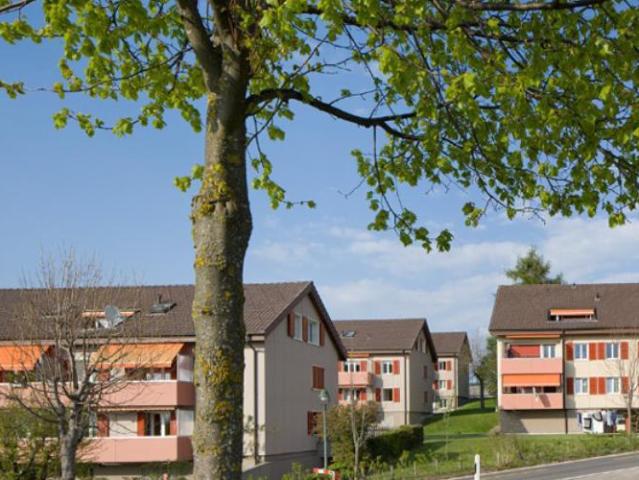 Apartment mieten in Grosshöchstetten, Bern