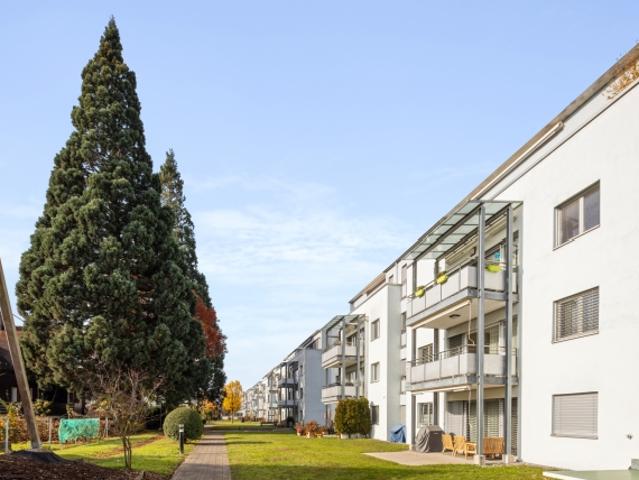 Wohnung mieten in Rapperswil-Jona, St. Gallen