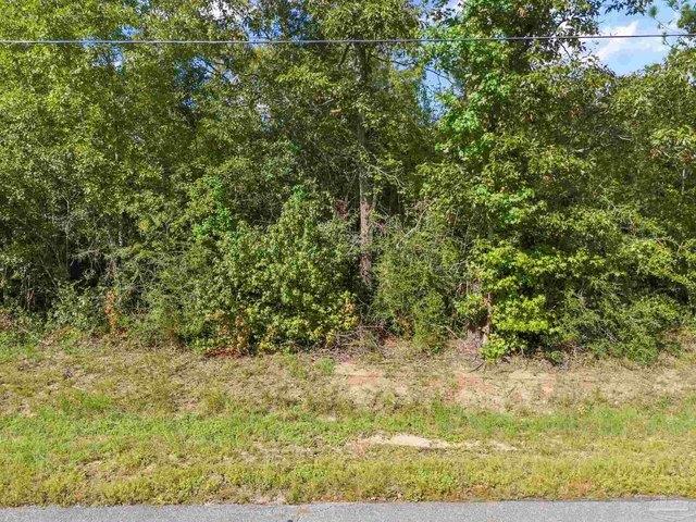Land for sale in Jay, Florida