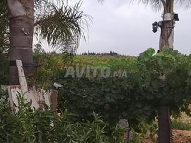 Propriété vente