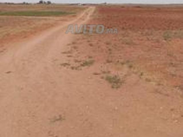 Propriété vente à Sidi Bennour, Gharb-Chrarda-Beni Hssen