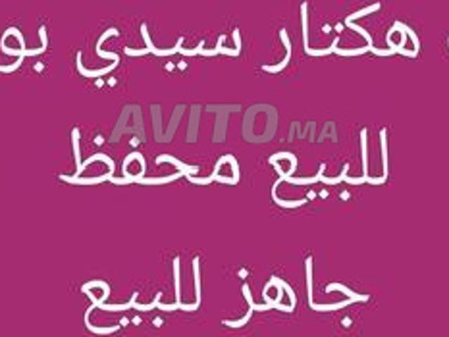 Propriété vente à Ben Slimane