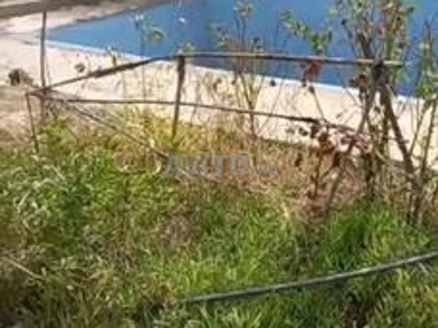 Propriété vente à Ain Sfa