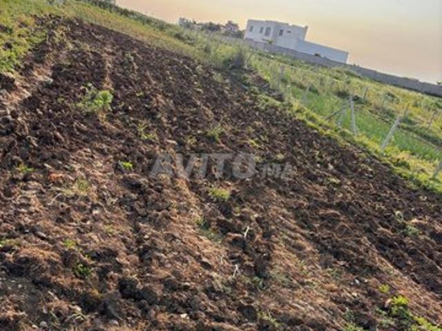 Propriété vente à Tangero, Tanger-Tétouan