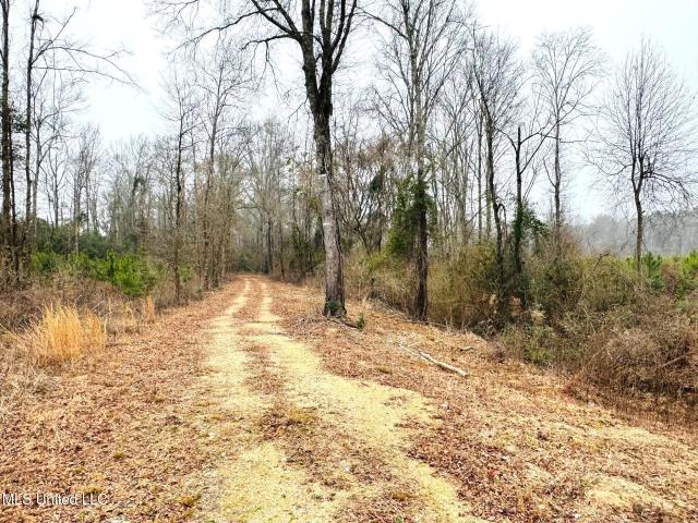Land for sale in Tylertown, Mississippi