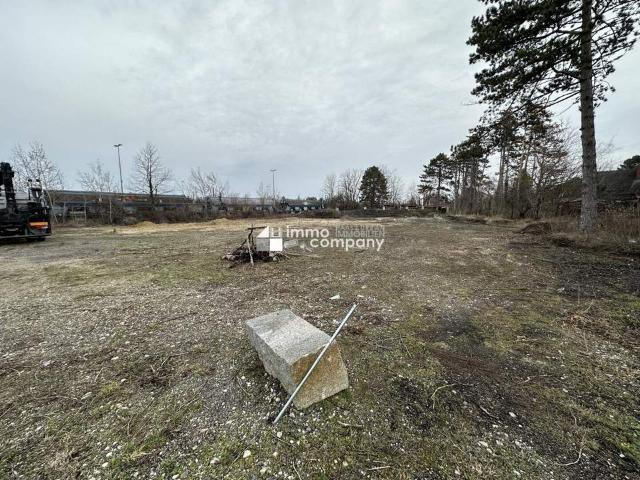 Gewerbe mieten in Gänserndorf, Niederösterreich