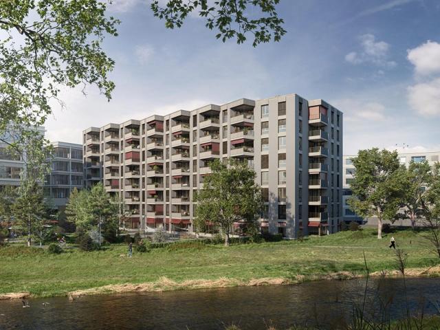 Apartment mieten in Einigen, Zürich