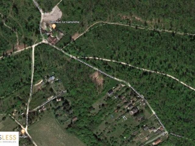 Haus kaufen in Langenzersdorf, Niederösterreich