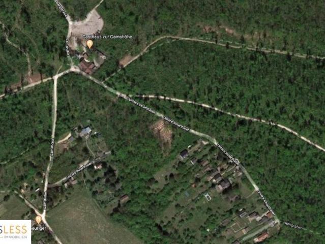 Haus kaufen in Langenzersdorf, Niederösterreich