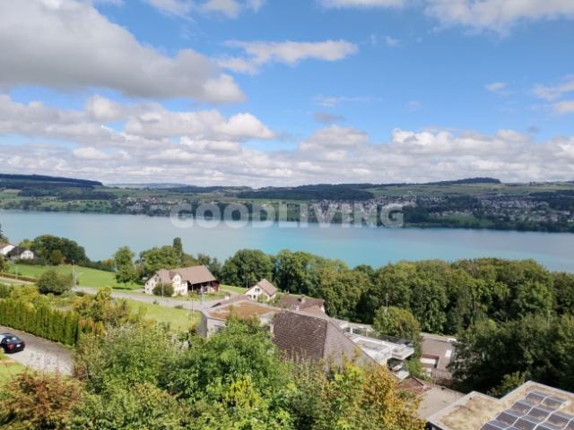 Einfamilienhaus kaufen in Birrwil, Aargau