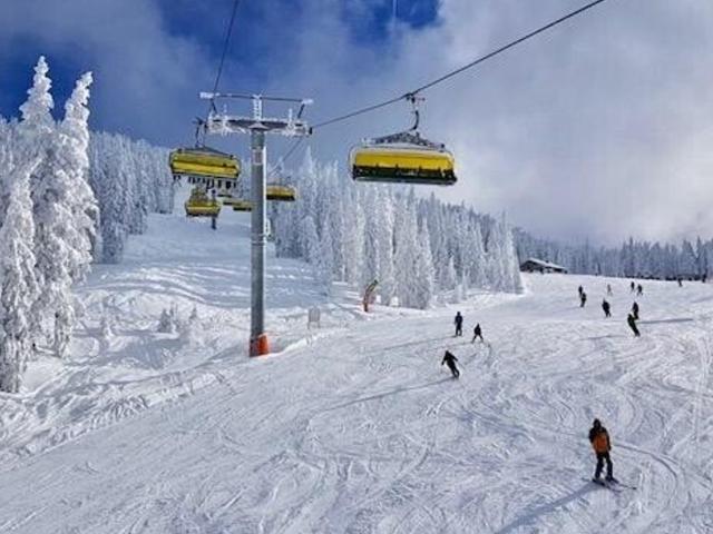 Wohnung kaufen in Schladming, Bezirk Liezen